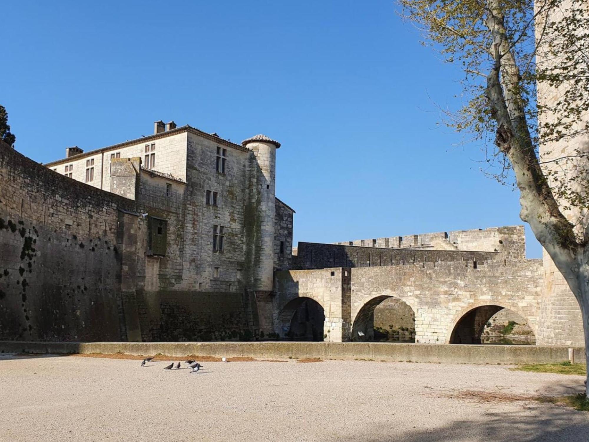 Maison Cosy, 2 Chambres, Adossee Aux Remparts Aigues-Mortes Exterior photo